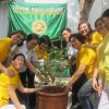 International Nurses Week